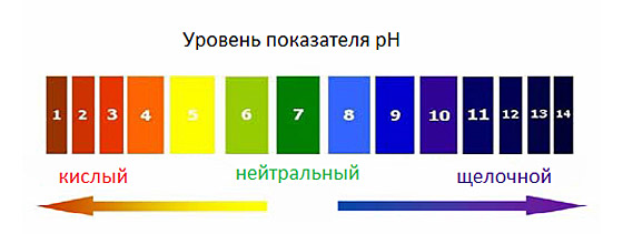 уровень_pH_в_организме