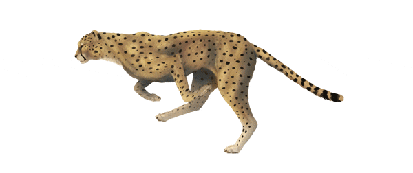 Create+a+Run+Cycle+Animation+From+Scratch+in+Adobe+Photoshop