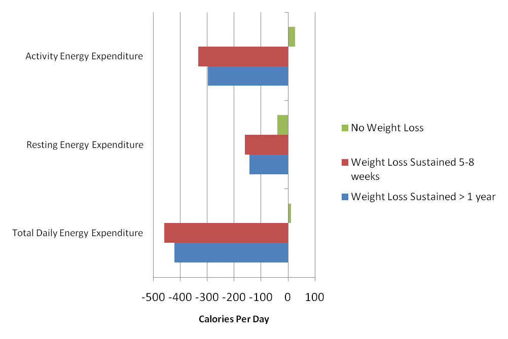 Adaptive-Thermogenesis-2