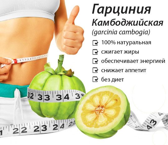 Гарциния камбоджийская