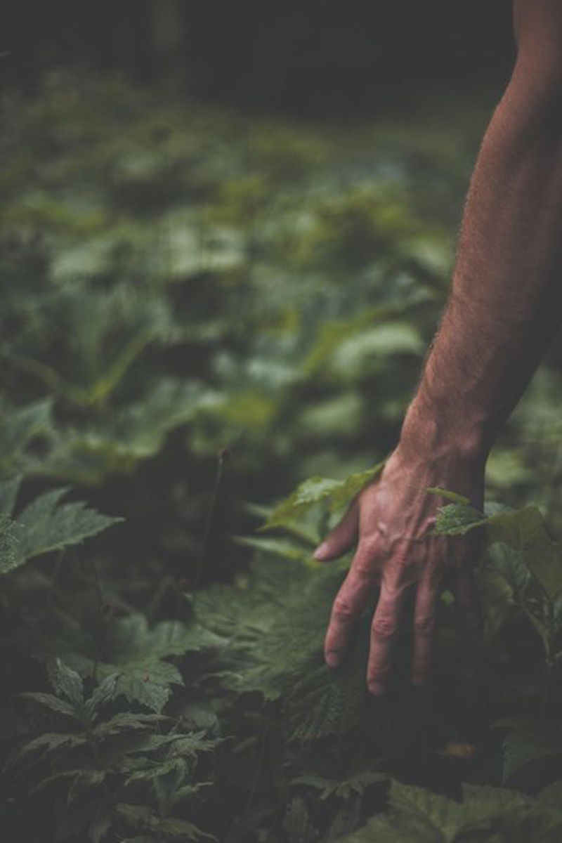 hands zozhnik 17