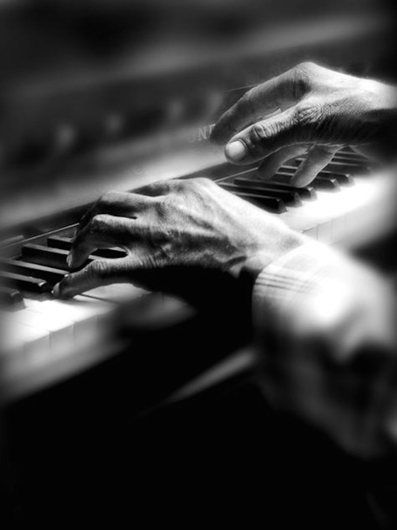 hands zozhnik 22