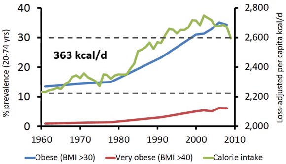 obesity-and-calorie-consumption