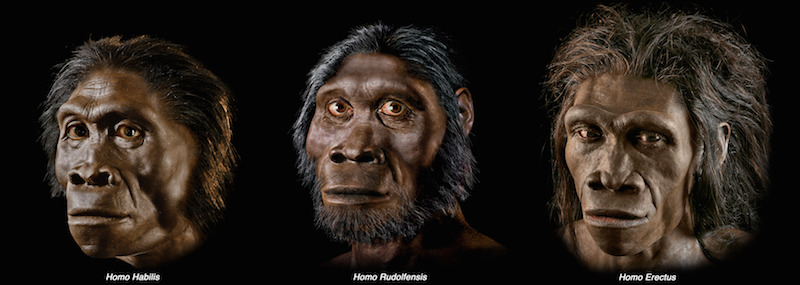 three_busts_L_horizontal-bucci-2