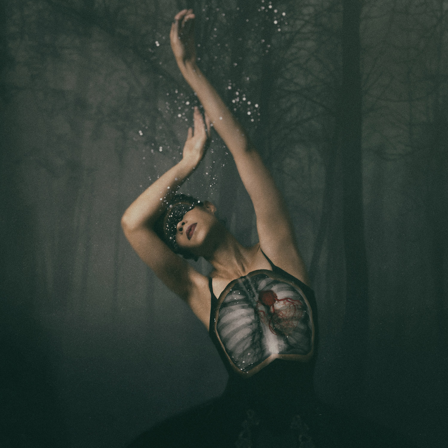 josephine-cardin-08