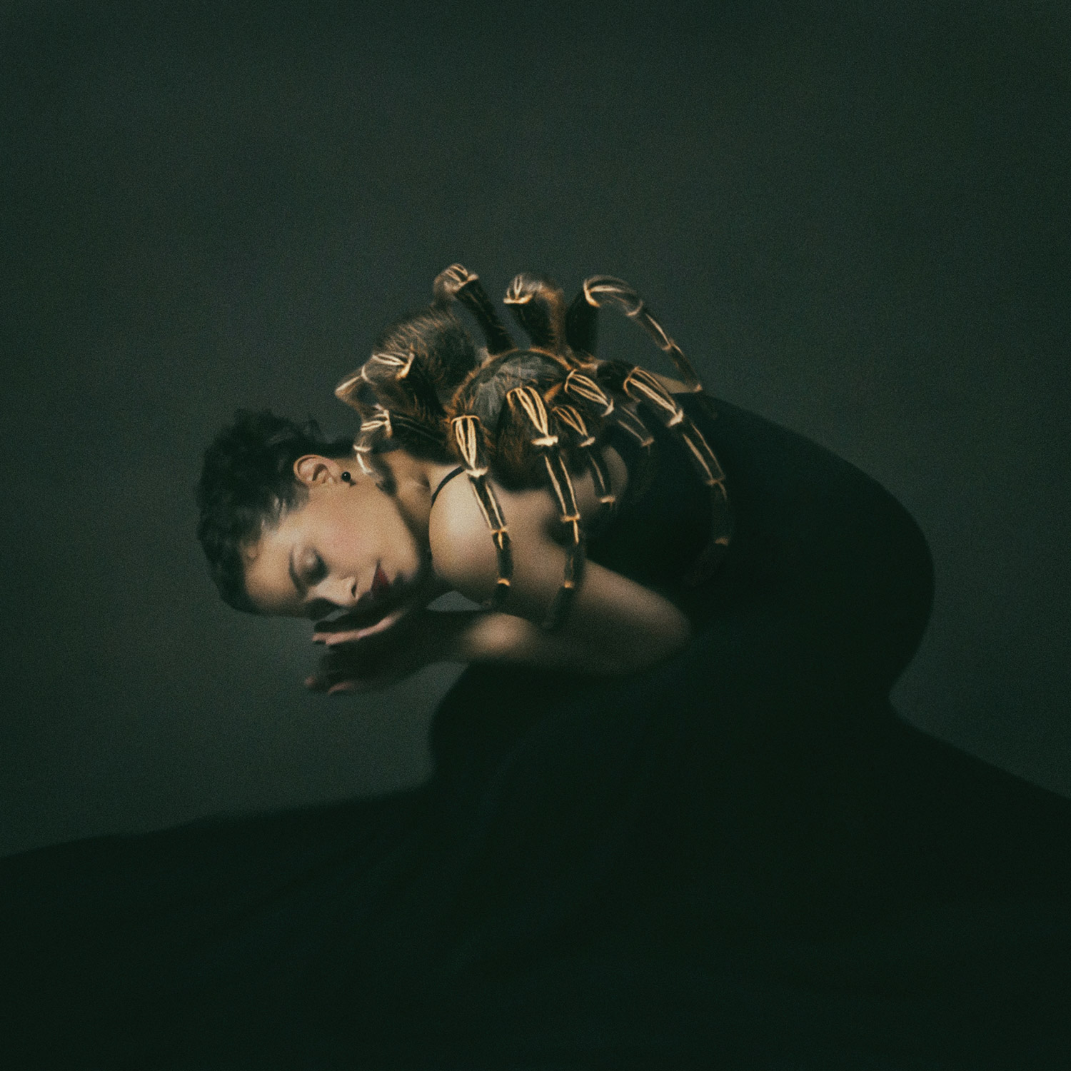 josephine-cardin-09