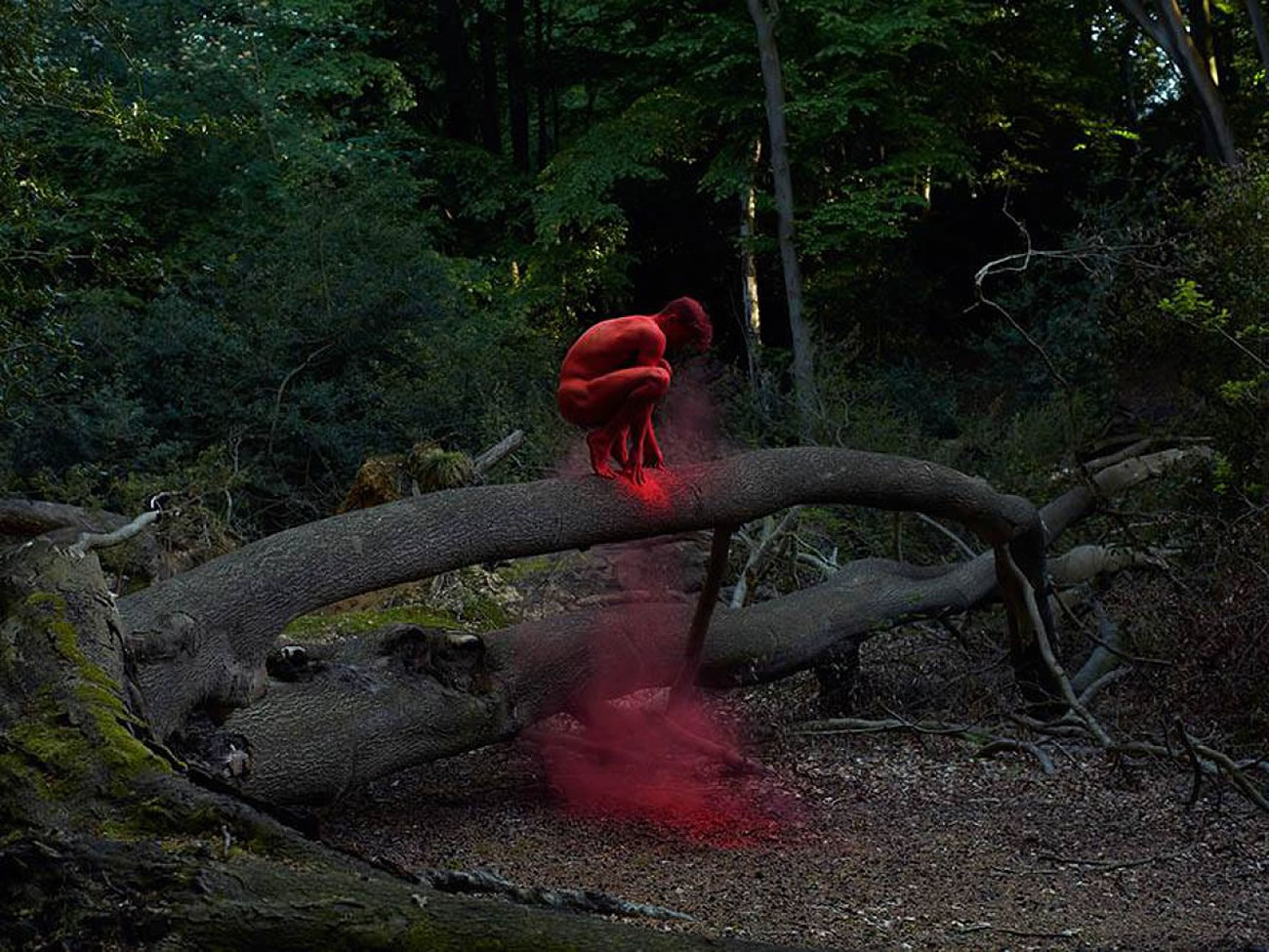 bertil-nilsson-05