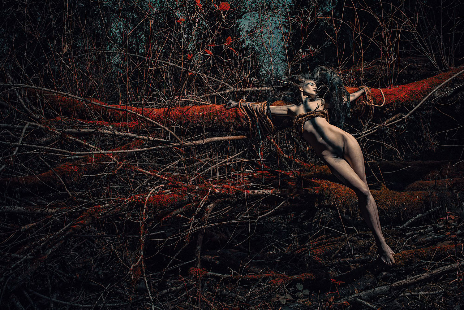 stefan-gesell-01