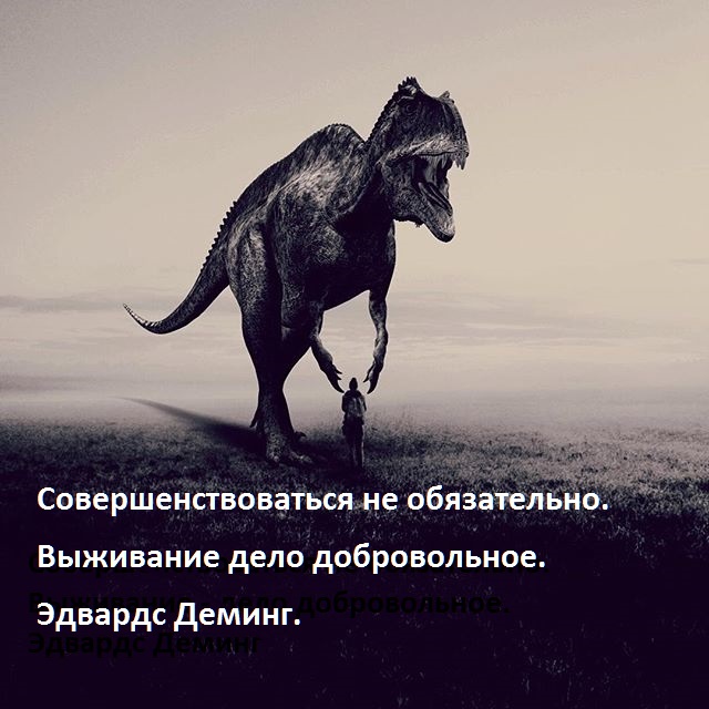1446586247-bdd0a8fb3fad9d1c17aa402f5f61a8cc