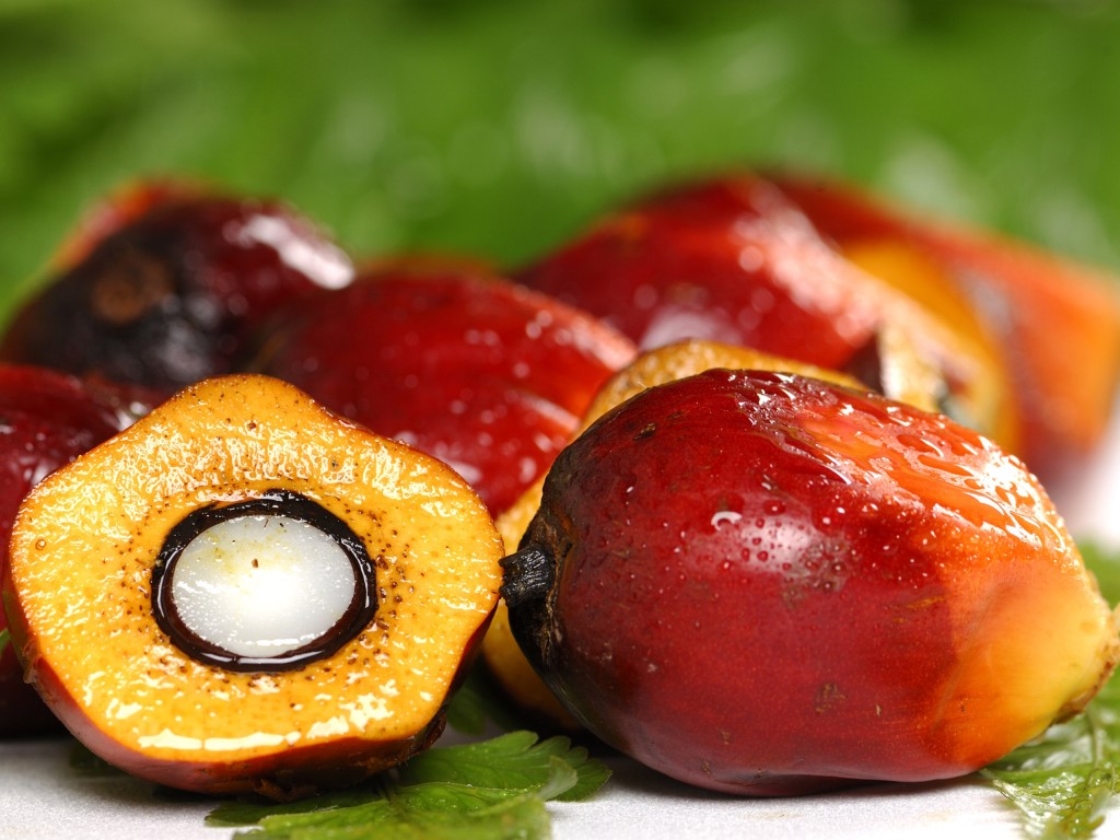 Fresh-Fruits-107zozhnik