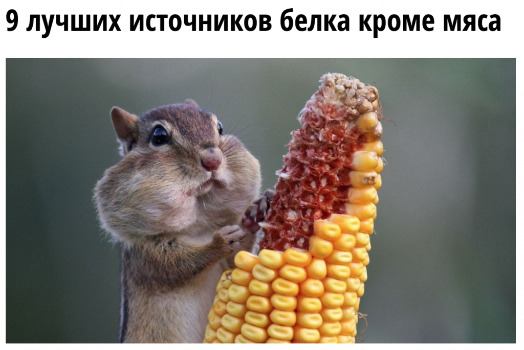 По клику на картинку открывается статья