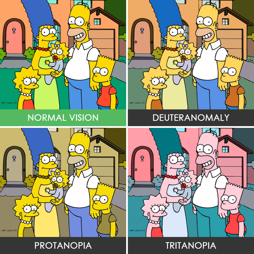 different-types-color-blindness-photos-37