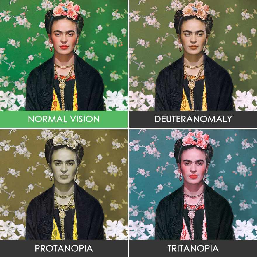 different-types-color-blindness-photos-55-5887487a41de1__880