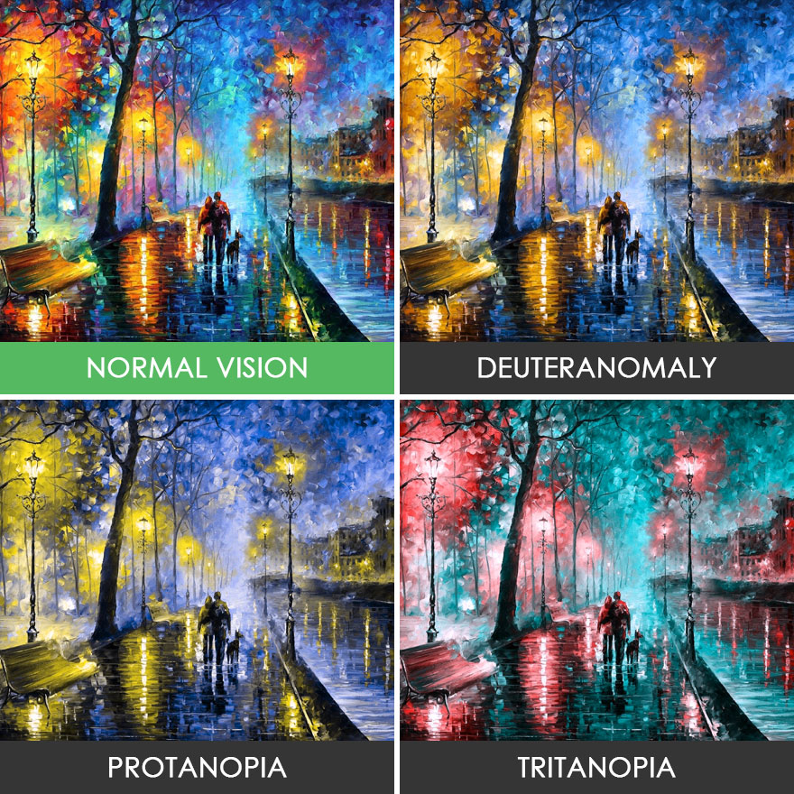different-types-color-blindness-photos-61-588750c61152c__880