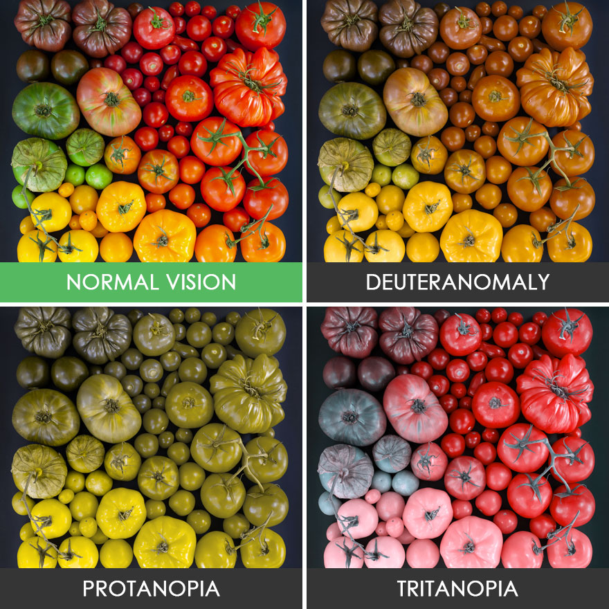 different-types-color-blindness-photos-62-5887523b862cb__880